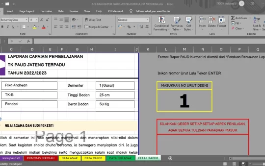 Rapor PAUD TK/KB Otomatis Kurikulum Merdeka Excel