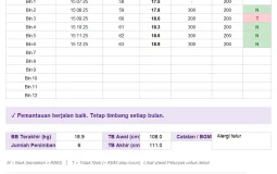 Kartu Kesehatan Anak PAUD/TK, KMS Kartu Menuju Sehat Digital