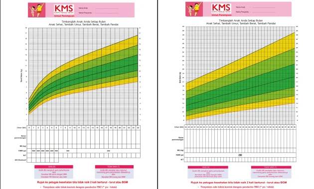 KMS Perempuan, Kartu Menuju Sehat PAUD/TK